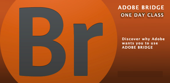 Adobe-Bridge-workshop Adobe Bridge Computer Training Class - Asheville Buncombe NC